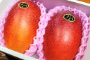 【ふるさと納税】完熟マンゴー「太陽のたまご」2玉(約1kg)...