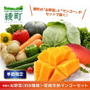 【ふるさと納税】 完熟 マンゴー 旬 野菜 セット 季節 限