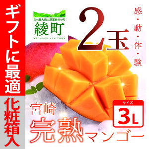 【ふるさと納税】 完熟 マンゴー 3L 2玉 化粧箱 宮崎 高級 果物 フルーツ 濃厚 ギフト のし...