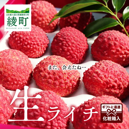 生ライチ 国産 化粧箱 希少 果物 宮崎 高級 ギフト 贈答 先行受付 予約 送料無料（14-73）