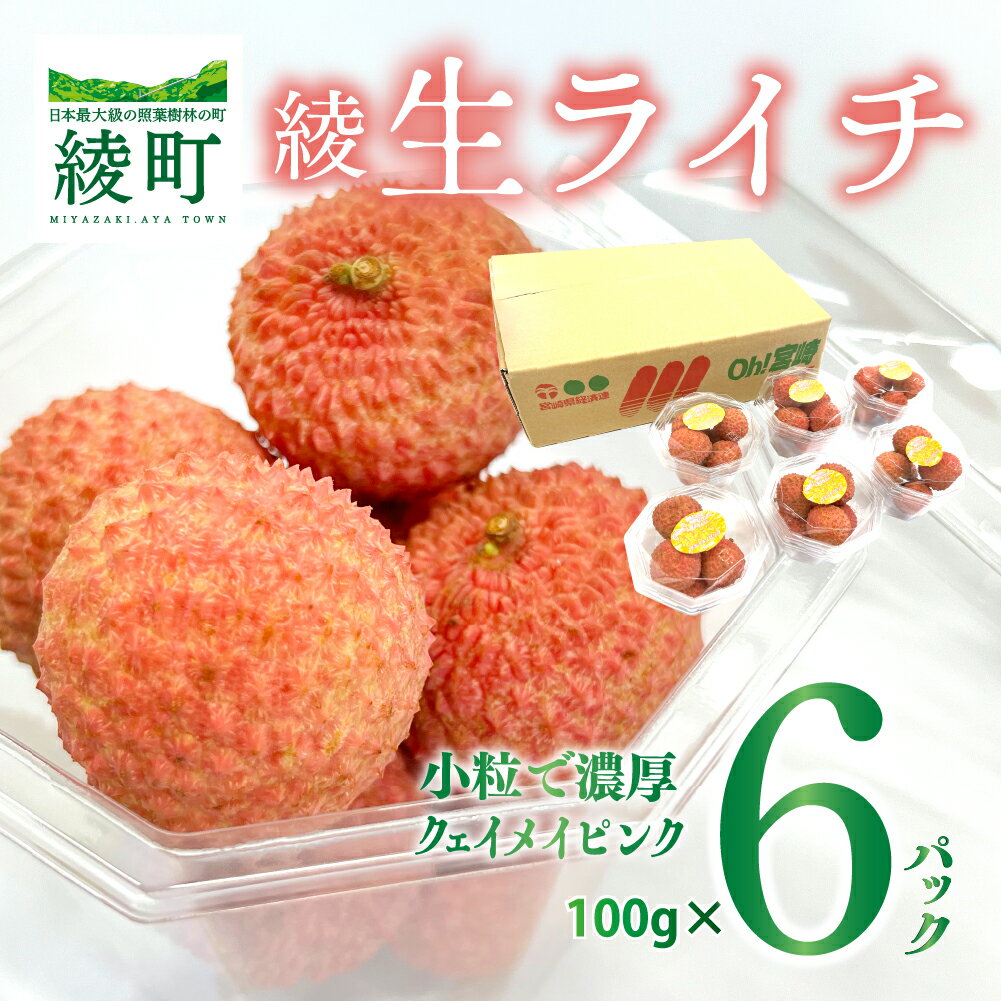 ライチ お裾分け セット 約600g 小分け 6パック 国産 宮崎 希少 果物 フルーツ 贈答 ギフト 先行受付 送料無料(14-75)