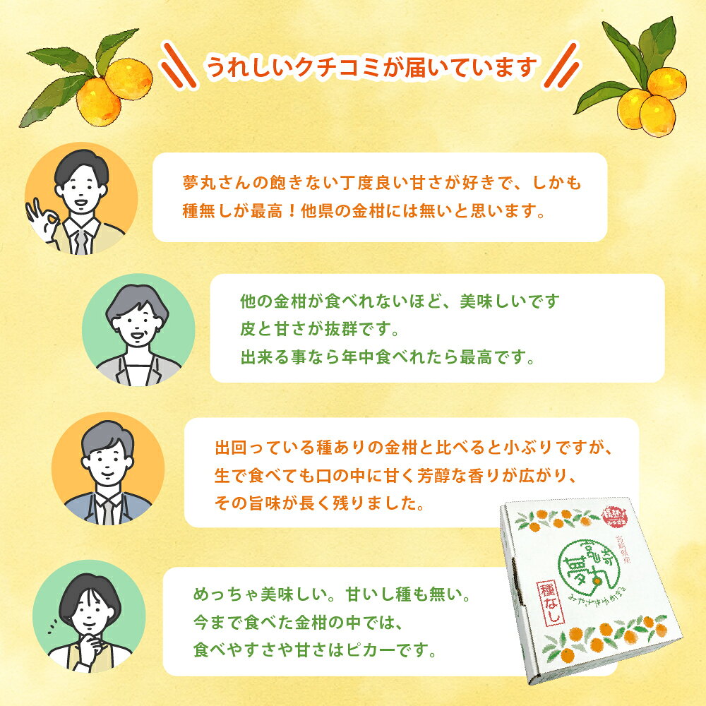 【ふるさと納税】先行予約 《選べる種類・内容量》 きんかん 「宮崎夢丸」 400g 1kg 2kg 数量限定 大粒 種無し 果物 フルーツ くだもの 柑橘 金柑 プレミア おすすめ パック ギフト 贈り物 贈答 おやつ スイーツ デザート 糖度が高い 常温 産地直送 宮崎県 綾町 送料無料 f453838-aya-10000658 宮崎県綾町 サンプル画像3