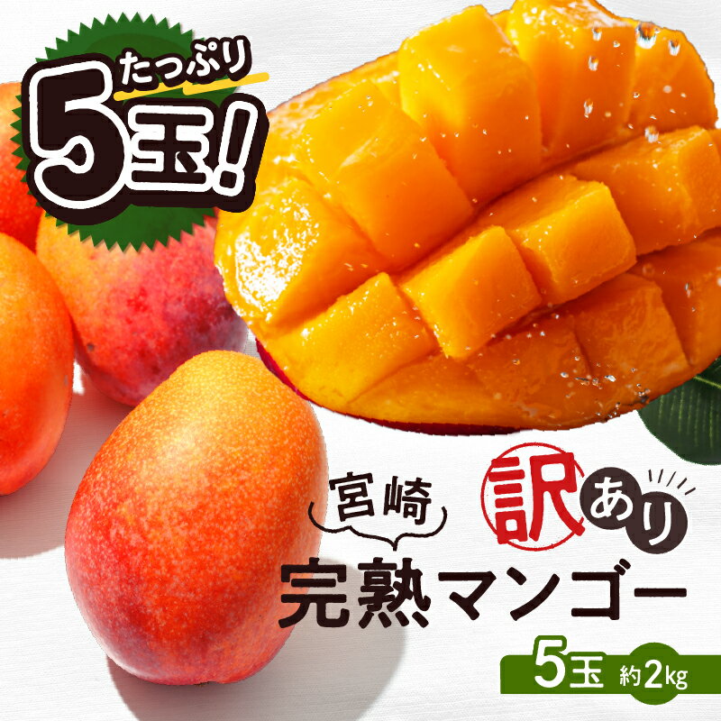 【ふるさと納税】【訳あり】完熟マンゴー 2L×5玉(パック)【濃厚 高級 宮崎 果物 フルーツ 贈答 ギフト 甘い 先行受付 送料無料】