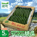 【ふるさと納税】綾川の恵み「フレッシュ胡瓜(きゅうり)」5kg / 宮崎県産 綾町産 きゅうり 胡瓜 産地直送 期間限定 送料無料 ふるさと納税