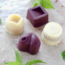 【ふるさと納税】ミニホワイト&ビターチョコ詰合わせ〈4個〉白砂糖不使用 スイーツ お菓子 チョコレート プレゼント セット 詰め合わせ 冷蔵 送料無料