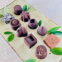 【ふるさと納税】ミニビター&生チョコ詰合わせ<10個>白砂糖不使用 スイーツ お菓子 チョコレート プレゼント セット 詰め合わせ 冷蔵 送料無料