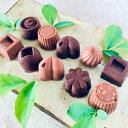 【ふるさと納税】ミニミルク&ビターチョコ詰合わせ<10個>白砂糖不使用 スイーツ お菓子 チョコレート プレゼント セット 詰め合わせ 冷蔵 送料無料