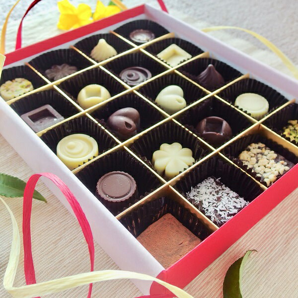 【ふるさと納税】オーガニックチョコ100%使用ミニチョコ&乳製品フリー生チョコセット<20個入り> ヘルシー スイーツ 詰め合わせ ギ..