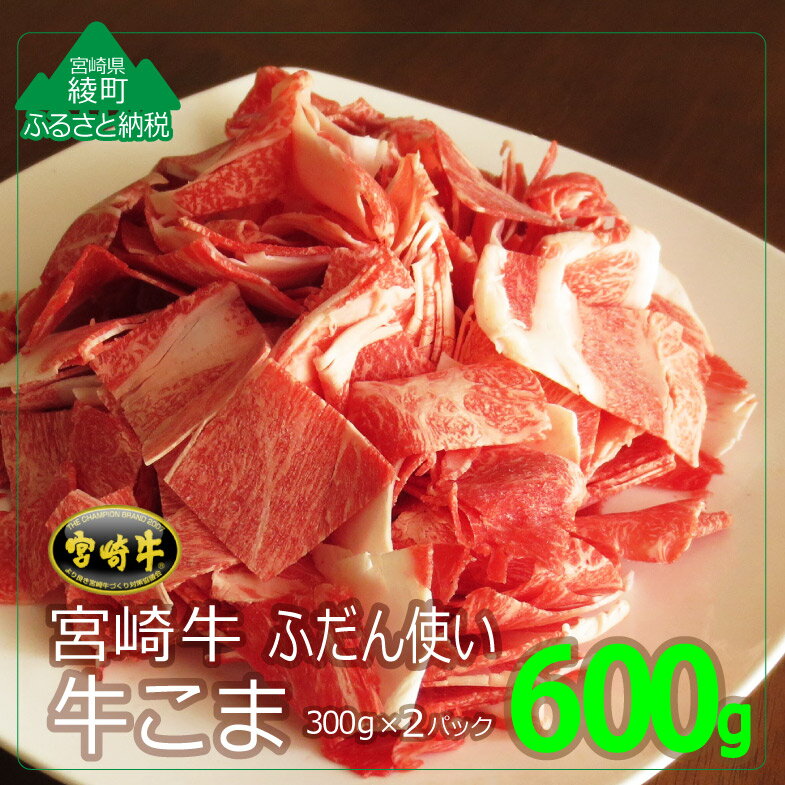 黒毛和牛 A4A5等級 お試し 宮崎牛 A4 こま600g(300g×2パック) 牛肉 A4 小間 冷凍 内閣総理大臣賞受賞 宮崎県産 九州産 切落し 調理 送料無料(36-215)