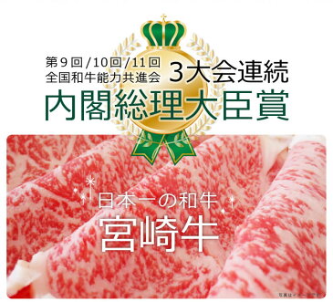 【ふるさと納税】A4A5等級 黒毛和牛 高級部位 宮崎牛赤身スライス500g 牛肉 肩 もも モモ ウデ トウガラシ すき焼き しゃぶしゃぶ 冷凍 内閣総理大臣賞受賞 宮崎県産 送料無料