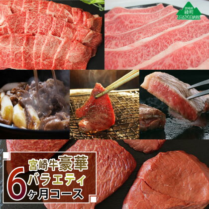 【定期便】A4A5等級 黒毛和牛 宮崎牛豪華バラエティ6ヶ月コース 合計4.6kg 贅沢 ステーキ 焼肉 牛肉 しゃぶしゃぶ すき焼き BBQ ステーキ 冷凍 内閣総理大臣賞受賞 宮崎県産 国産 送料無料（36-201）