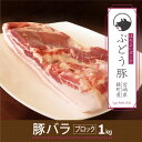 【ふるさと納税】希少 ブランド豚 綾ぶどう豚バラブロック1kg 豚肉 脂身 国産 宮崎県産 銘柄豚 冷凍 送料無料 36-175 