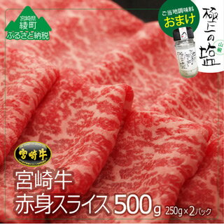 【ふるさと納税】宮崎牛 赤身スライス 500g + 極上の塩※ご寄附いただいてから1〜3ヶ月以内に発送します！