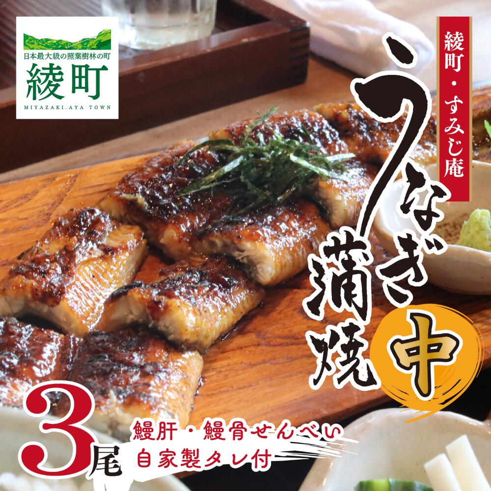 【ふるさと納税】うなぎ蒲焼(中)3尾