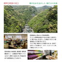 宮崎県綾町の画像3