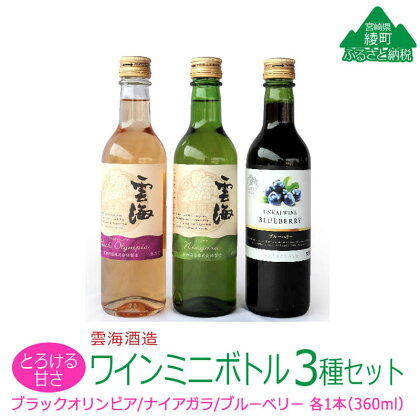 雲海ワイン お試しミニボトル 3種類 白 ブルーベリー 飲みやすい 甘口 ワイン 少量 360ml（02-112）