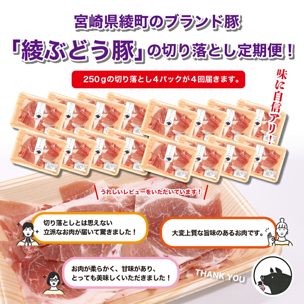 【ふるさと納税】国産 豚肉 ブランド 豚 綾ぶどう豚 切り落とし 4か月 定期便 セット 指定月 中旬 お届け(22-39)