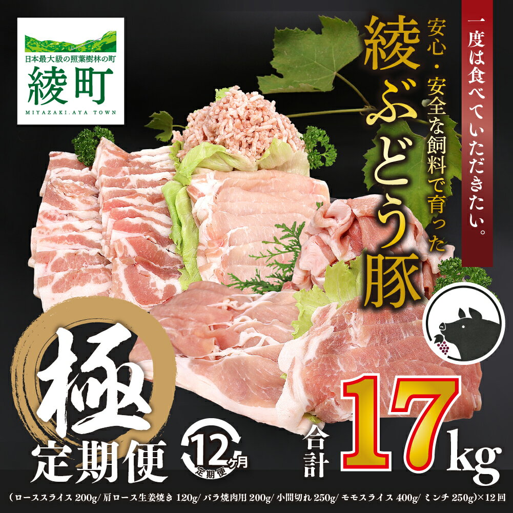 【ふるさと納税】国産 豚肉 ブランド 豚 綾ぶどう豚 よりどり 詰め合わせ 12か月 定期便 セット 毎月 ..