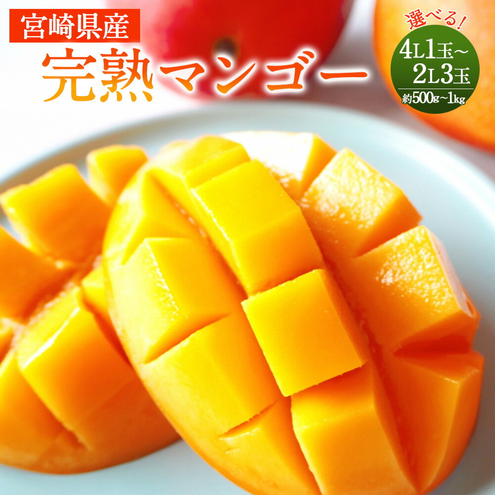 [宮崎県産完熟マンゴー 4L×1玉(500g以上)][L×3玉(約900g)][2L×3玉(約1kg)] 2024年5月中旬〜7月下旬までに順次出荷 マンゴー4L×1玉 L×3玉 2L×3玉 果物 くだもの フルーツ 完熟 南国フルーツ 宮崎県 高鍋町 送料無料