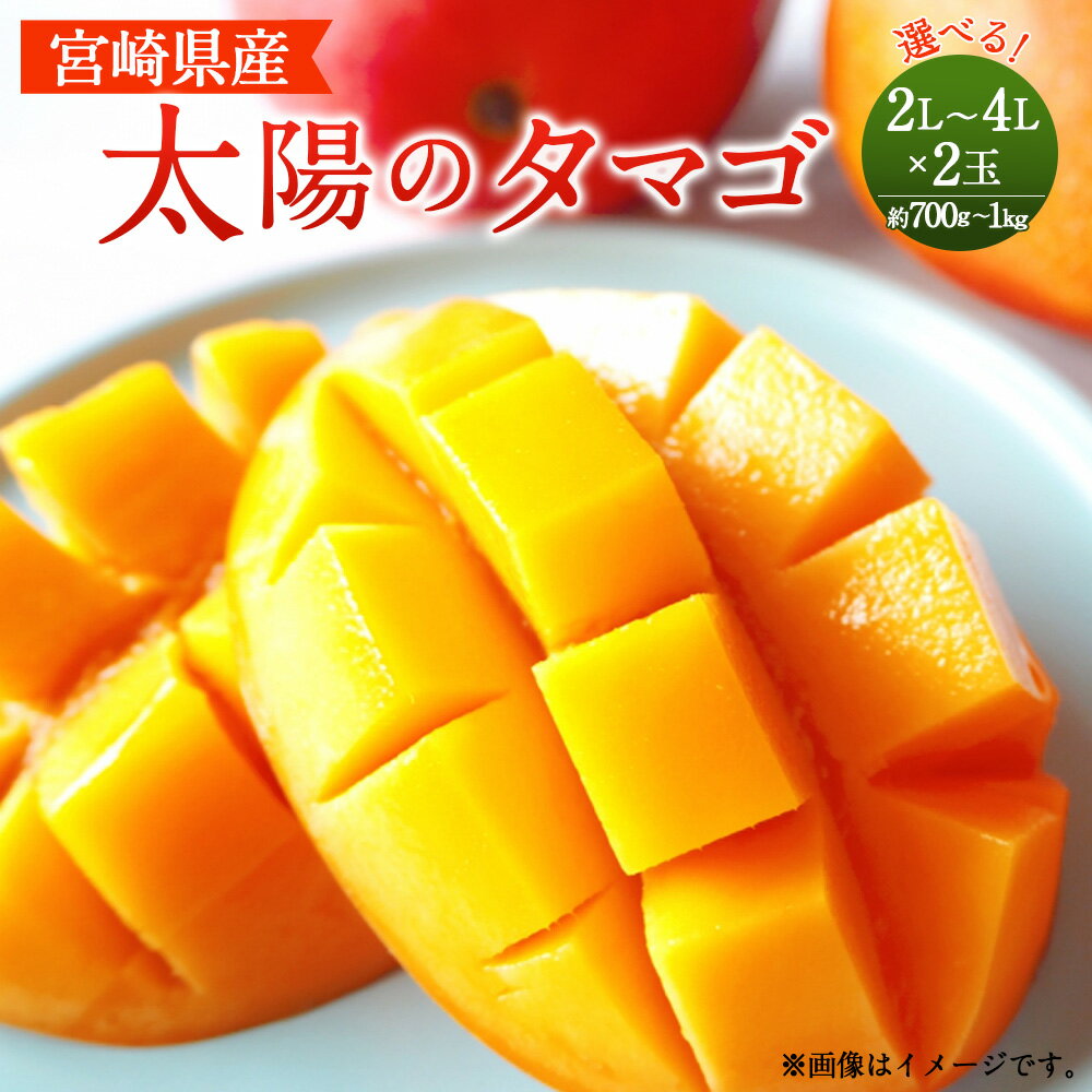 [宮崎県産太陽のタマゴ 2L×2玉(合計約700g)または3L×2玉(合計約900g)または4L×2玉(合計約1kg)]2024年5月中旬〜7月下旬迄に順次出荷 マンゴー 4L 3L 2L 2玉 太陽のタマゴ 果物 くだもの フルーツ 完熟 南国フルーツ 宮崎県 高鍋町 送料無料