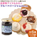 【ふるさと納税】行列ができるソフトクリーム屋さんの<自家製アイスクリームとブルーベリージャムのセット>2か月以内に順次出荷 モナカ ミルク いちご ブルーベリー...