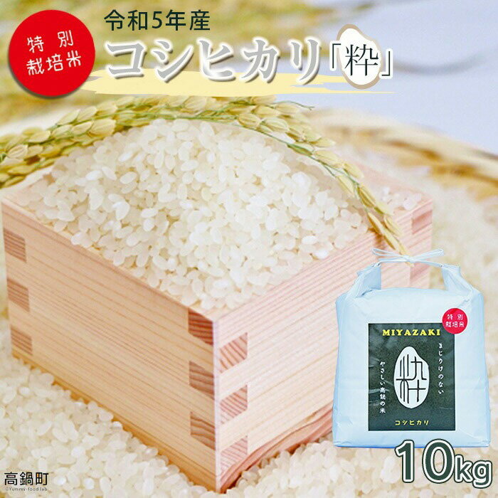 ＜令和5年度 特別栽培米「粋」コシヒカリ 10kg＞ ※入金確認後、翌月末迄に順次出荷します。 こしひかり コメ こめ　米 高鍋町 桑原 送料無料 【常温】