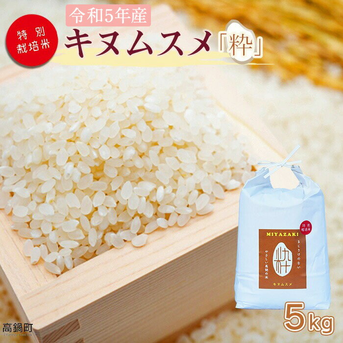 【ふるさと納税】 ＜令和5年度 特別栽培米「粋」キヌムスメ 