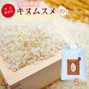  ＜令和5年度 特別栽培米「粋」キヌムスメ 5kg＞※入金確認後、翌月末迄に順次出荷します。 きぬむすめ コメ こめ 高鍋町 桑原 送料無料 