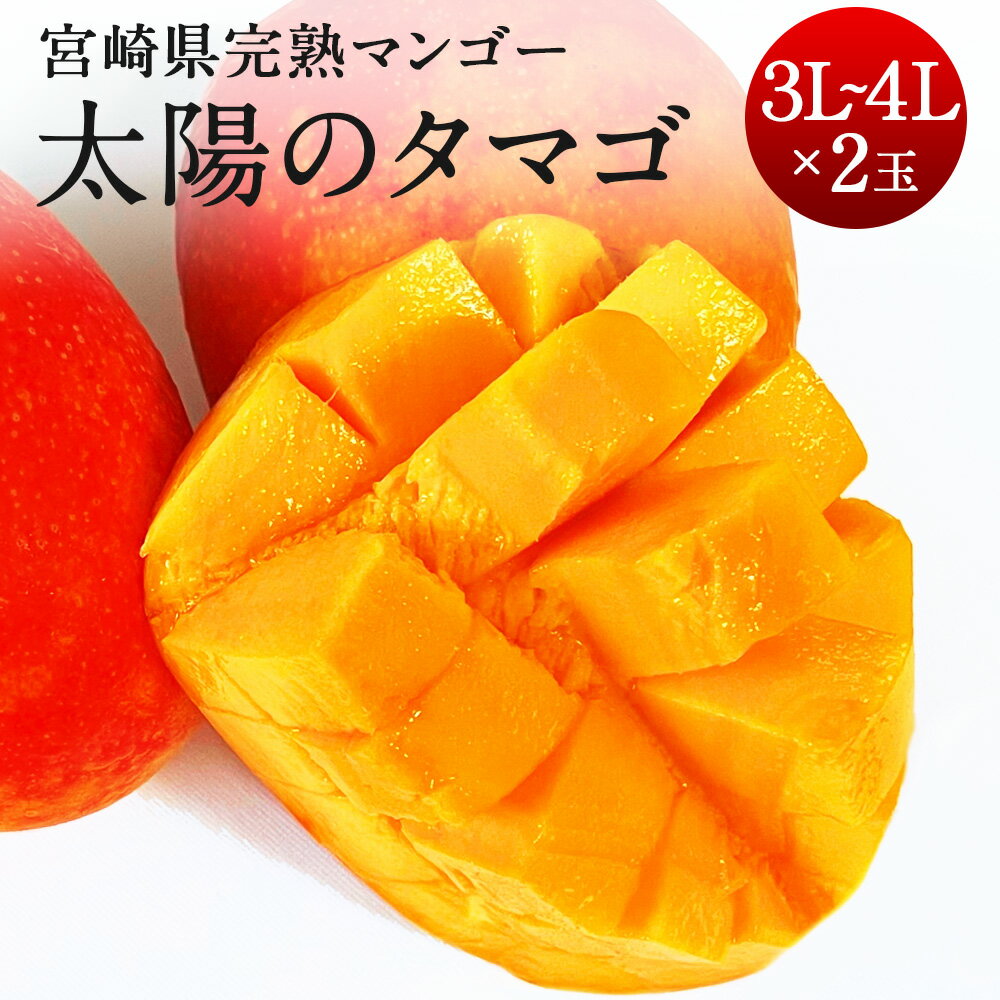 【ふるさと納税】＜宮崎県 完熟マンゴー【太陽のタマゴ】4L×2玉 1kg＞または＜3L×2玉 900g＞ 2024年4月下旬～7月中旬迄に順次出荷 マンゴー 2玉 選べる 果物 くだもの 完熟 トロピカルフルーツの女王 贈答品 ギフト 南国 期間 数量限定 宮崎県 児湯郡 高鍋町 送料無料