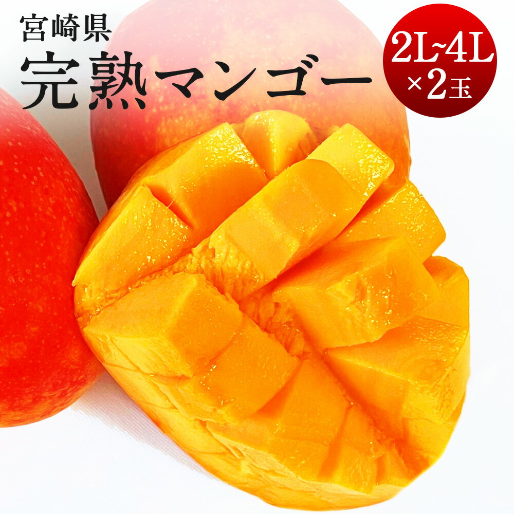 12位! 口コミ数「0件」評価「0」＜宮崎県 完熟マンゴー4L×2玉 1kg＞＜3L×2玉 900g＞＜2L×2玉 700g＞2024年4月下旬～7月中旬迄に順次出荷 マンゴー･･･ 