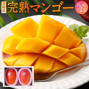 【ふるさと納税】<宮崎県 完熟マンゴー 4L×2玉 1kg><3L×2玉 900g><2L×2玉 700g>2025年4月上旬~7月中旬迄に順次出荷 マンゴー 2玉 選べる 果物 くだものフルーツ 完熟 トロピカルフルーツの女王 贈答品 ギフト 南国 期間・数量限定 宮崎県 児湯郡 高鍋町 送料無料