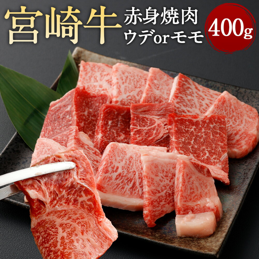 【ふるさと納税】＜宮崎牛赤身焼肉 400g＞翌月末迄に順次出荷 宮崎牛 赤身 焼肉 焼き肉 BBQ バーベキュー スライス 牛 お肉 牛肉 黒毛和牛 和牛 九州 国産 冷凍 宮崎県 高鍋町 送料無料