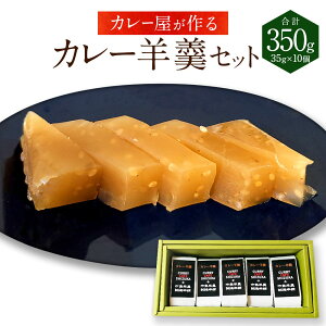 【ふるさと納税】<カレー屋が作るカレー羊羹セット>入金確認後、翌月末までに順次出荷 35g×10個 計350g ようかん 羊羹 和菓子 和スイーツ おやつ カレー味 スパイシー カレーカフェ靜 宮崎県 高鍋町 送料無料