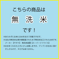 【ふるさと納税】※1か月以内に順次出荷です!<平成29年産宮崎県産ヒノヒカリ(無洗米)5kg×3袋>合計15kgひのひかり霧島地区厳選九州産宮崎県高鍋町【常温】