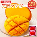 ＜宮崎県産 完熟マンゴー 3L×2玉(合計 約900g)＞ ※2024年5月上旬～7月中旬迄に順次出荷します。 果物 フルーツ 贈答品 ギフト 南国 特産品 宮崎県 児湯郡 高鍋町