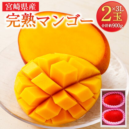 ＜宮崎県産 完熟マンゴー 3L×2玉(合計 約900g)＞ ※2024年5月上旬～7月中旬迄に順次出荷します。 果物 フルーツ 贈答品 ギフト 南国 特産品 宮崎県 児湯郡 高鍋町【冷蔵】