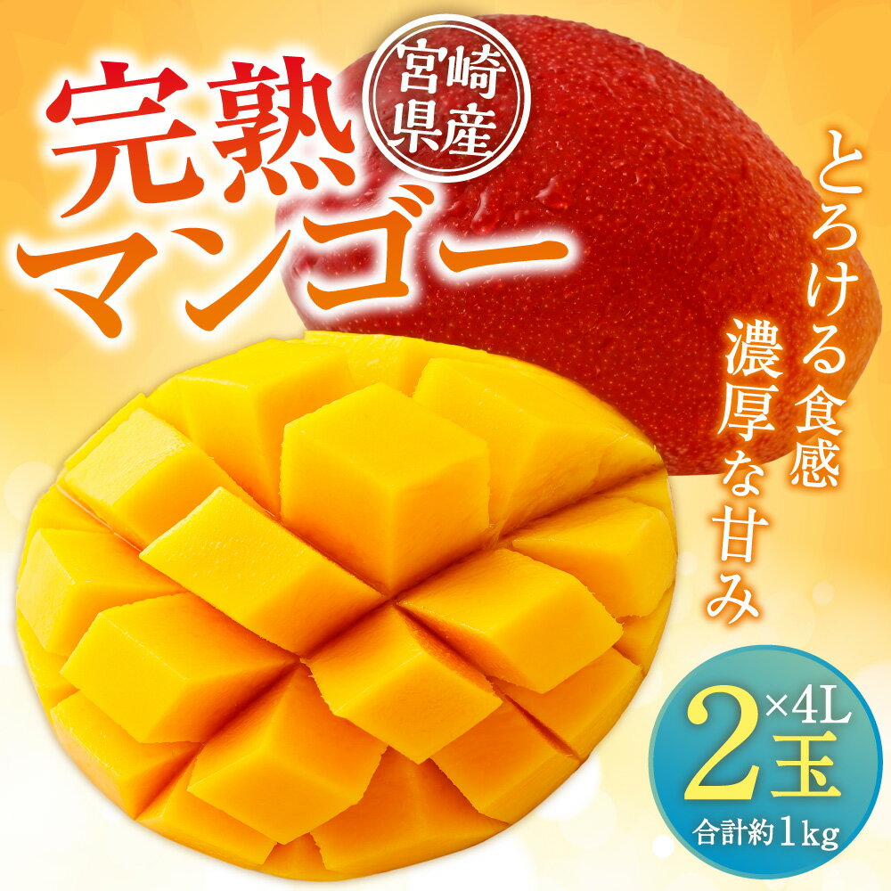 【ふるさと納税】＜宮崎県産 完熟マンゴー 4L×2玉(合計 約1kg)＞ ※2024年5月上旬～7月中旬迄に順次出荷します。 果物 フルーツ 贈答品 ギフト 南国 特産品 宮崎県 児湯郡 高鍋町【冷蔵】