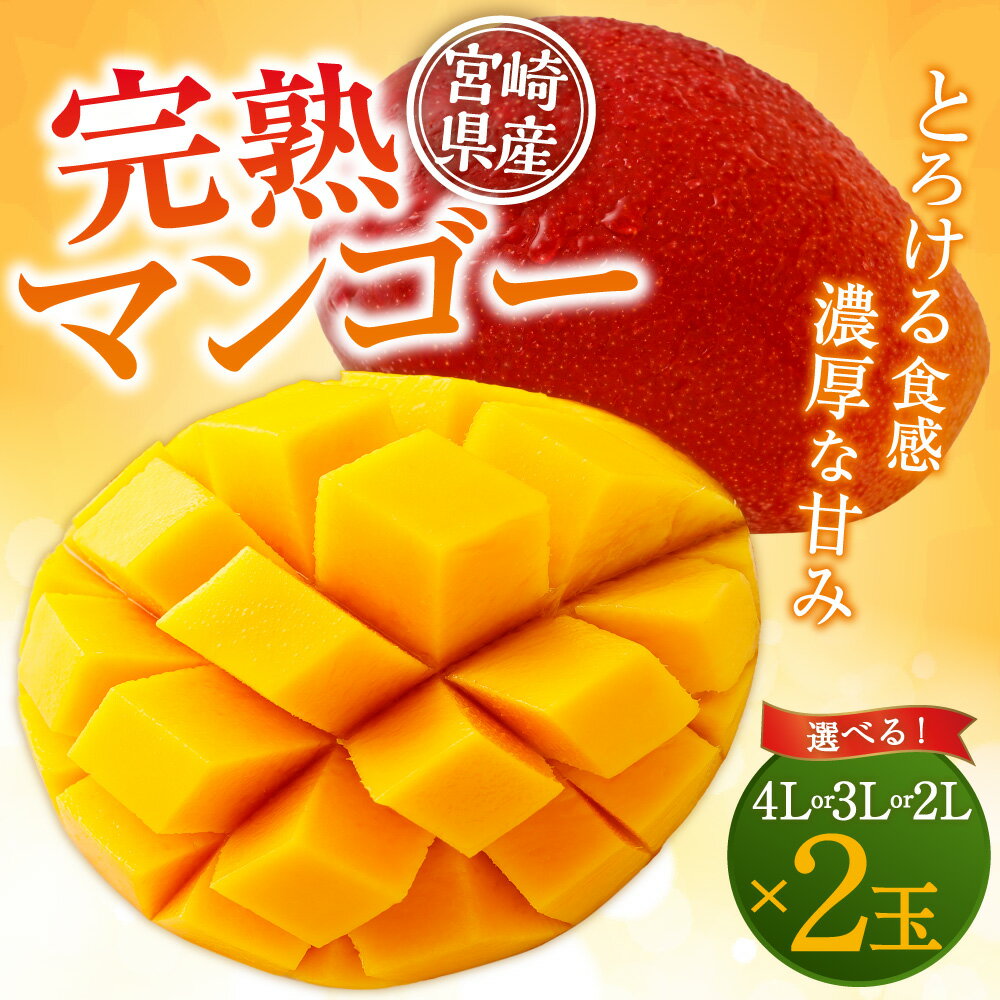 【ふるさと納税】【選べるサイズ】＜宮崎県産 完熟マンゴー 4L×2玉（合計 約1kg）または3L×2玉（合計 約900g）または2L×2玉（合計 約700g）＞ ※2026年5月上旬～7月中旬までに順次出荷 果物 フルーツ マンゴー ギフト 贈答品 宮崎県 高鍋町【冷蔵】