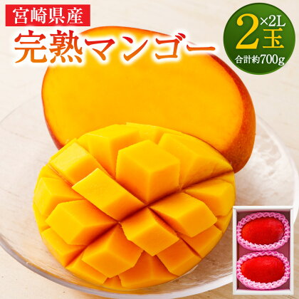 ＜宮崎県産 完熟マンゴー 2L×2玉(合計 約700g)＞ ※2024年5月上旬～7月中旬迄に順次出荷します。 期間・数量限定 送料無料 マンゴー フルーツ 果物 くだもの トロピカルフルーツの女王 贈答品 ギフト 南国 児湯郡 高鍋 宮崎