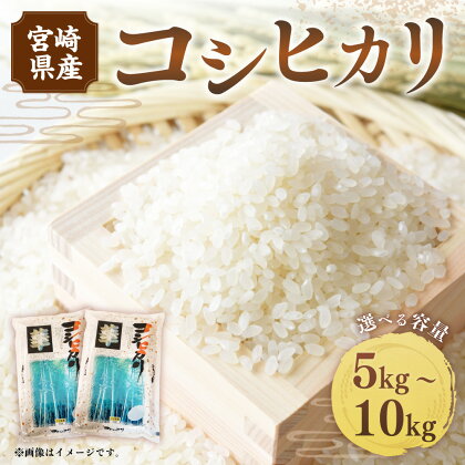 ＜令和5年産米宮崎県産コシヒカリ5kg・10kg＞2023年10月～2024年7月下旬迄に順次出荷 白米 米 お米 精米 おこめ 食品 お取り寄せ 宮崎県 高鍋町 送料無料