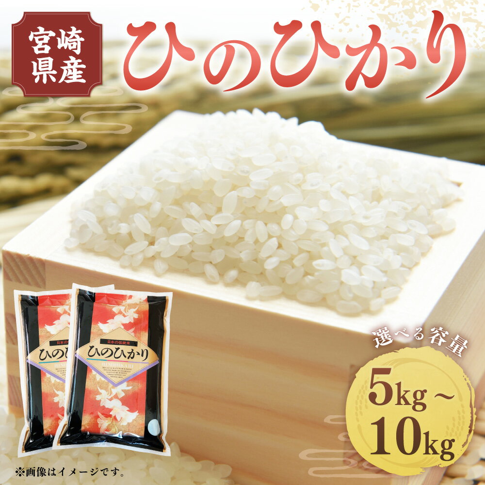 【ふるさと納税】＜令和5年産米宮崎県産ひのひかり5kg・10