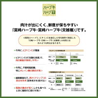 【ふるさと納税】1か月以内に順次出荷です!<宮崎ハーブ牛小間スライスどやっつセット1.2kg>牛肉特産品藤原牧場やまんうえ宮崎県高鍋町【冷凍】