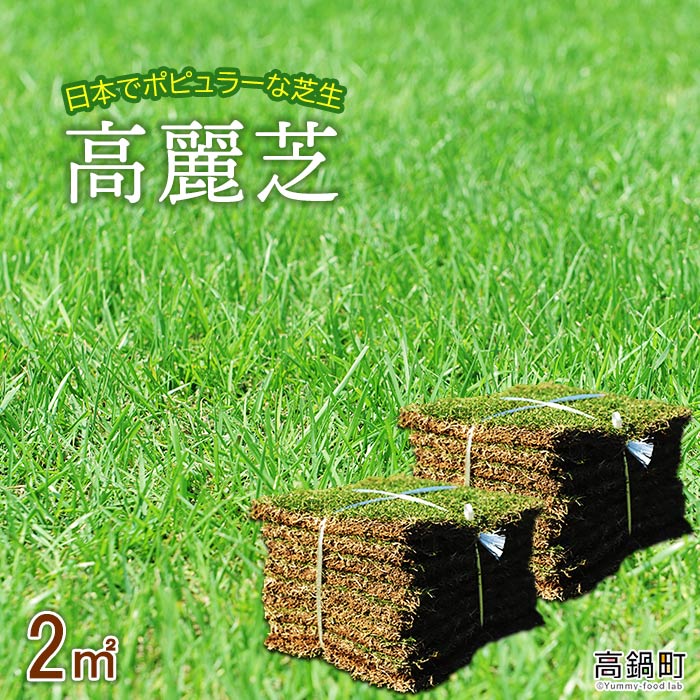 [高麗芝 2平方メートル] ※4月下旬までに発送します。 天然 高密度 DIY ガーデニング 日向芝 宮崎県 高鍋町[常温]