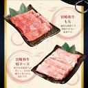 宮崎県高鍋町の画像3