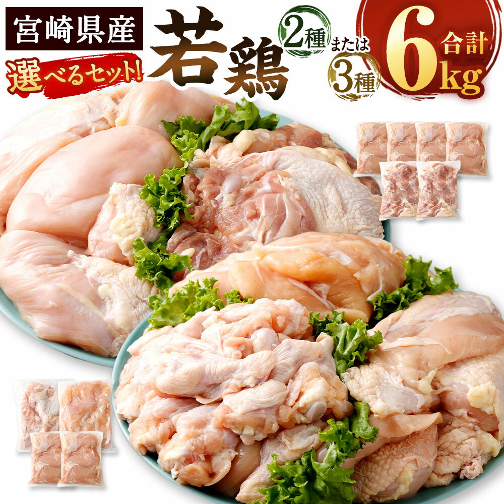 【ふるさと納税】<宮崎県産 若鶏 2種 または 3種 計6kg セット>翌月末迄に順次出荷 鶏肉 鳥肉 肉 個包装 ムネ モモ 手羽元 花いちもんめ 鶏肉 特産品 宮崎県 高鍋町 【冷凍】