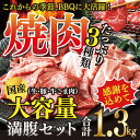 【ふるさと納税】<国産牛・豚たっぷり1.3kg満腹セット>※1?2か月以内に順次出荷となります 焼肉 花いちもんめ 牛肉 豚肉 小間切れ バーベキュー 特産品 宮崎県 高鍋町 【冷凍】
