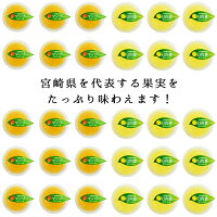 宮崎県産マンゴーゼリー・日向夏ゼリーたっぷり合計30個セット