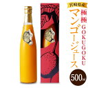 【ふるさと納税】本場宮崎!<宮崎県産プレミアムマンゴージュース 極極-GOKUGOKU- 500ml×1本>※入金確認後、翌月末迄に順次出荷します。 特産品 ひょっとこ堂 宮崎県 高鍋町【常温】
