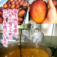 宮崎県産マンゴーゼリー・日向夏ゼリーたっぷり合計48個セット