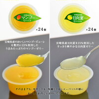 宮崎県産マンゴーゼリー・日向夏ゼリーたっぷり合計48個セット